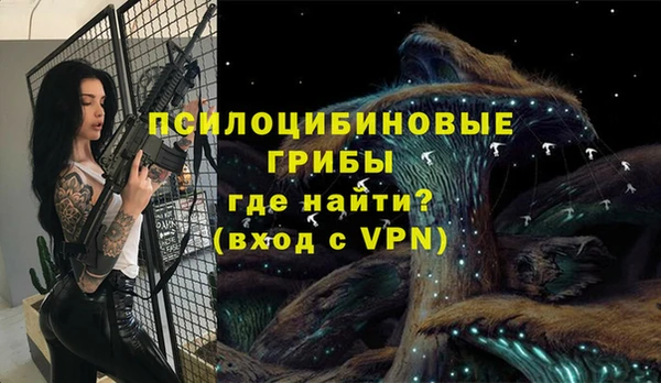 мяу мяу мука Вязники