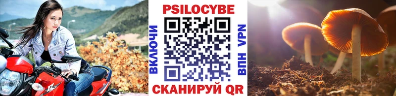 Псилоцибиновые грибы GOLDEN TEACHER  сколько стоит  Ленск 